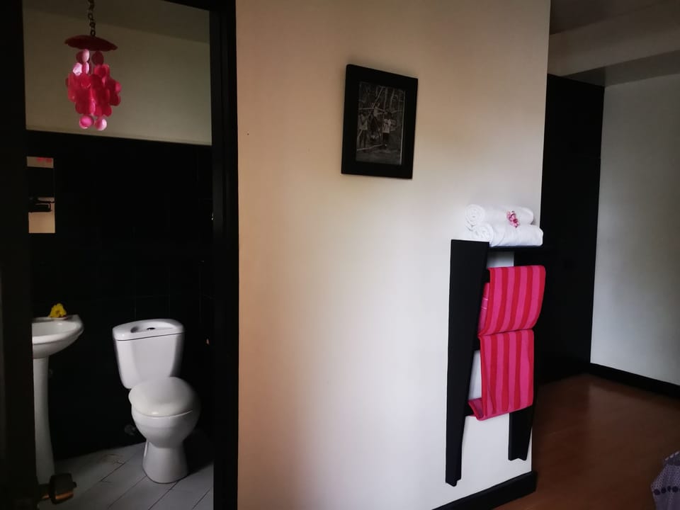 Deluxe Room Double | Bathroom | Shower, free toiletries, hair dryer, towels