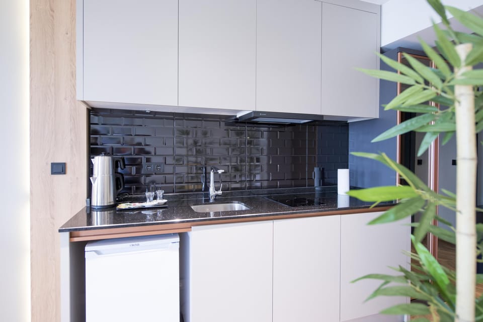 Mini-fridge, cookware/dishes/utensils