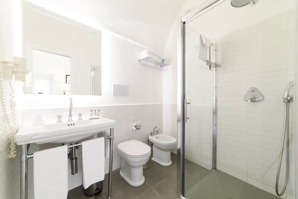 Shower, free toiletries, hair dryer, bidet