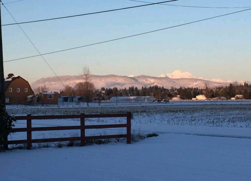 View of Majestic Mt Baker located 1.5hrs from the Cottage. A skiers paradise!