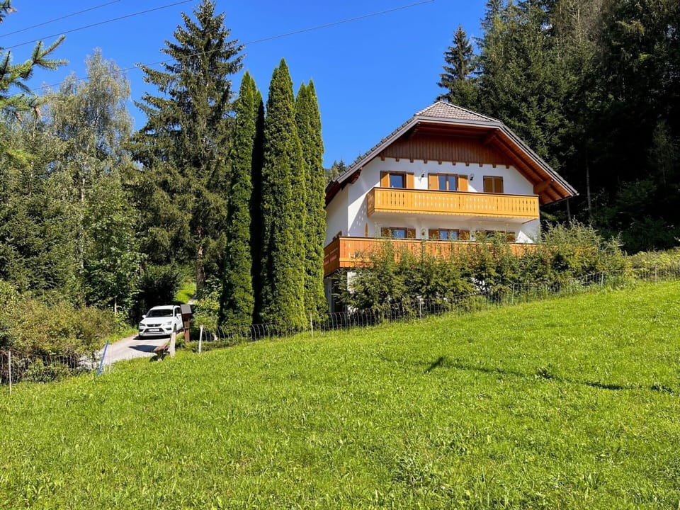 Plant, Sky, Building, Leaf, Natural Landscape, Tree, House, Larch, Land Lot, Vegetation