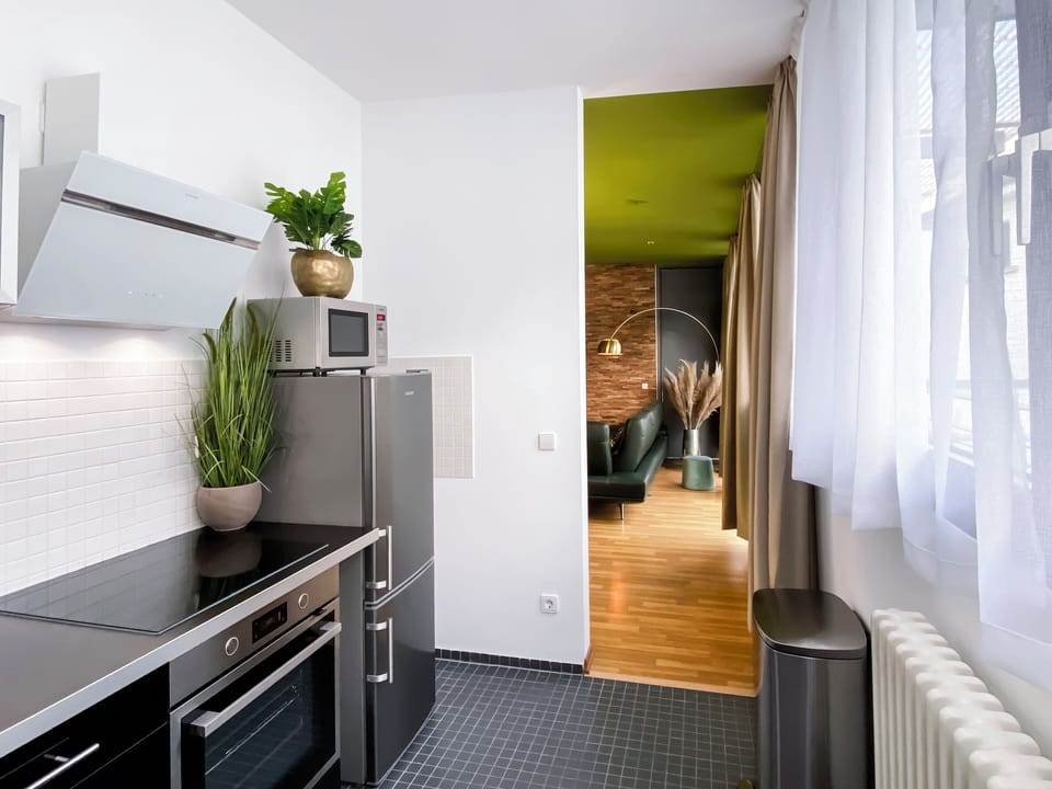 Deluxe Apartment | Private kitchen | Full-size fridge, microwave, oven, stovetop
