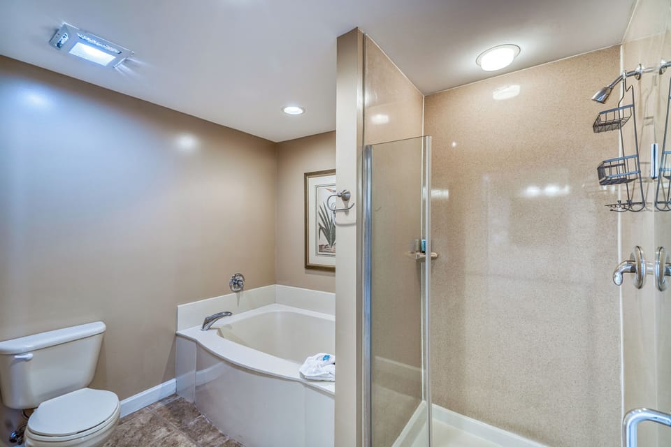 Master bathroom