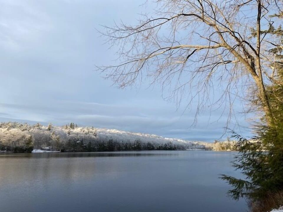 Williams Pond in winter is beautiful.