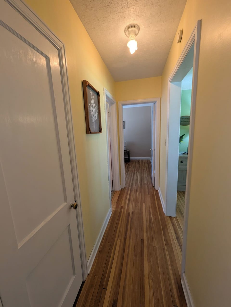 Hallway to Bathroom & Main Level Bedroom #2