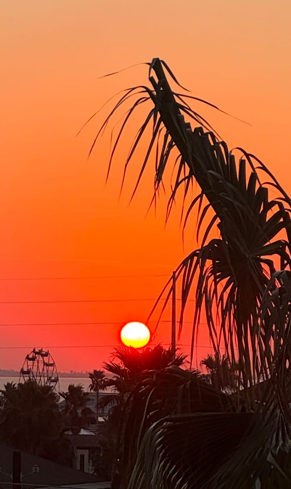 View from front balcony