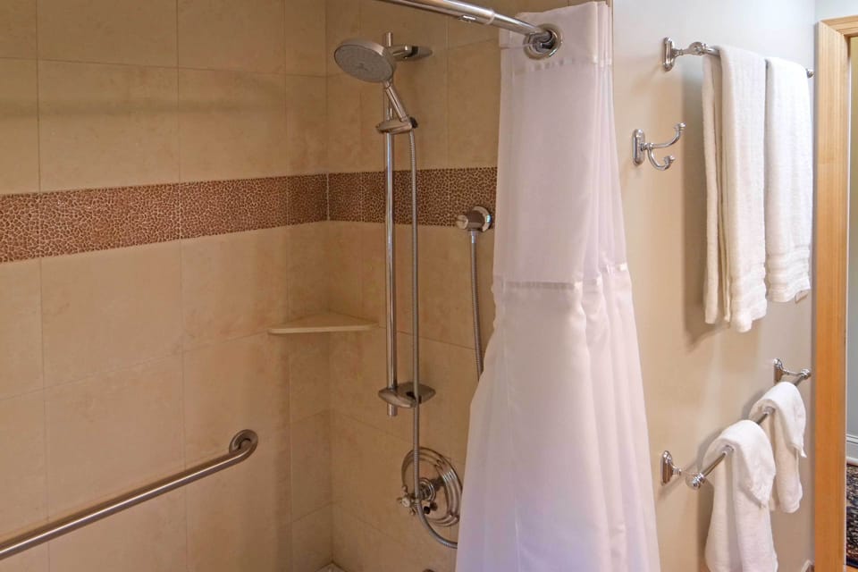 Tub/shower - Grab Bars, adjustable shower height, handheld option 