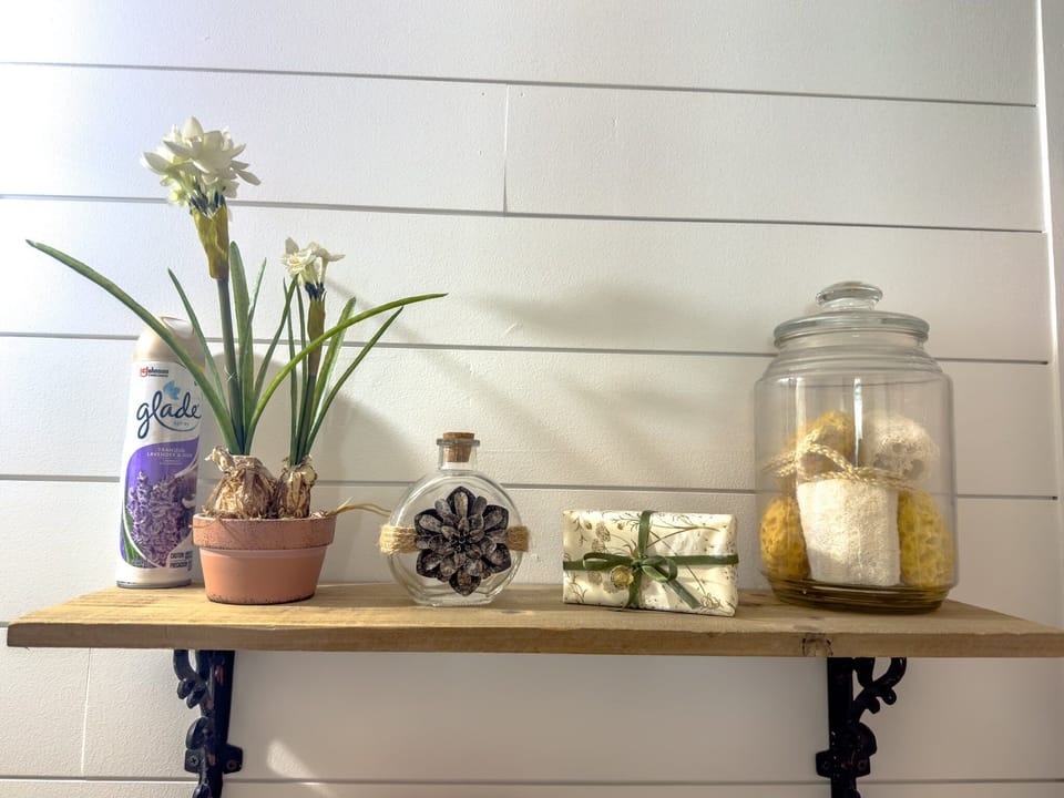Guest bath decor