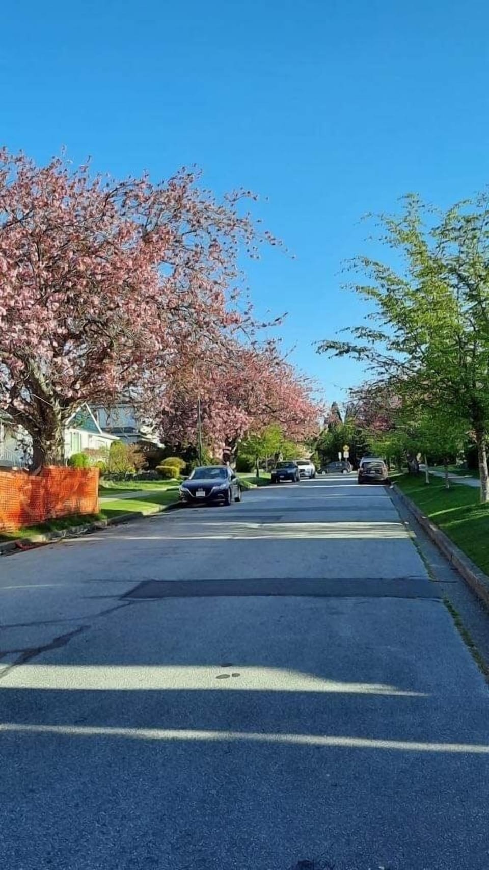 Free street parking outside house for guest’s car