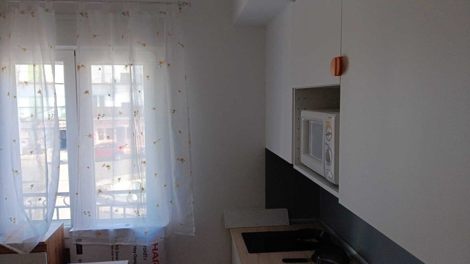 Deluxe Apartment, Balcony, City View | Private kitchen | Shared fridge, microwave