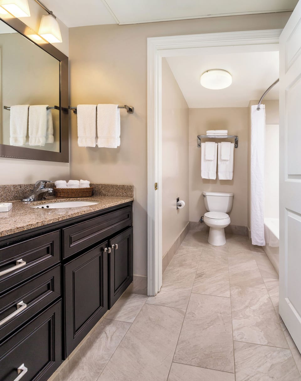 Hair dryer, towels, toilet paper