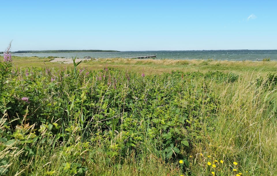 area