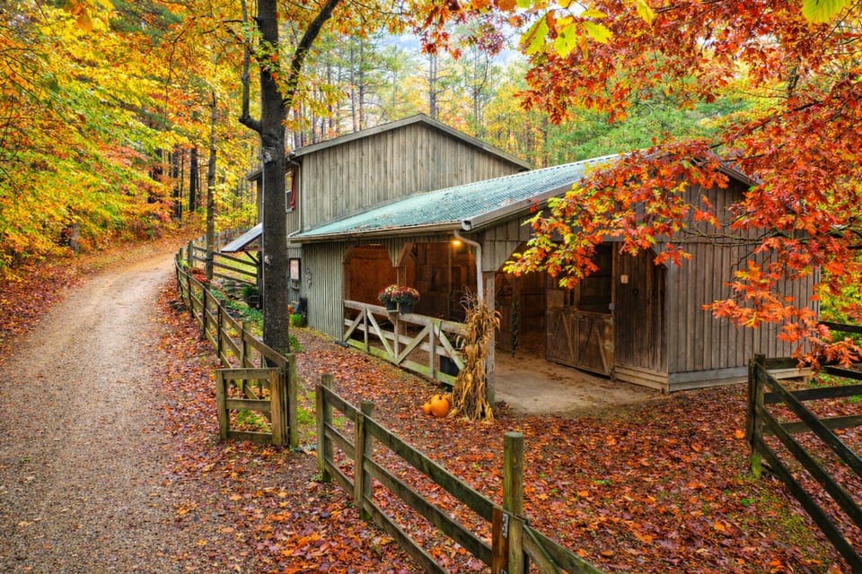 Elwood Loft in Autumn