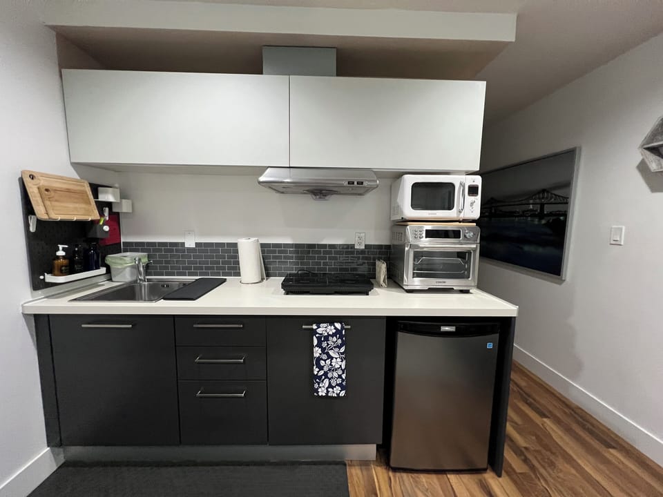 Kitchen, mini fridge, microwave, convection mini oven, induction cooktop