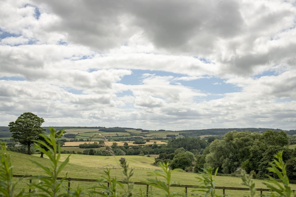 Local views