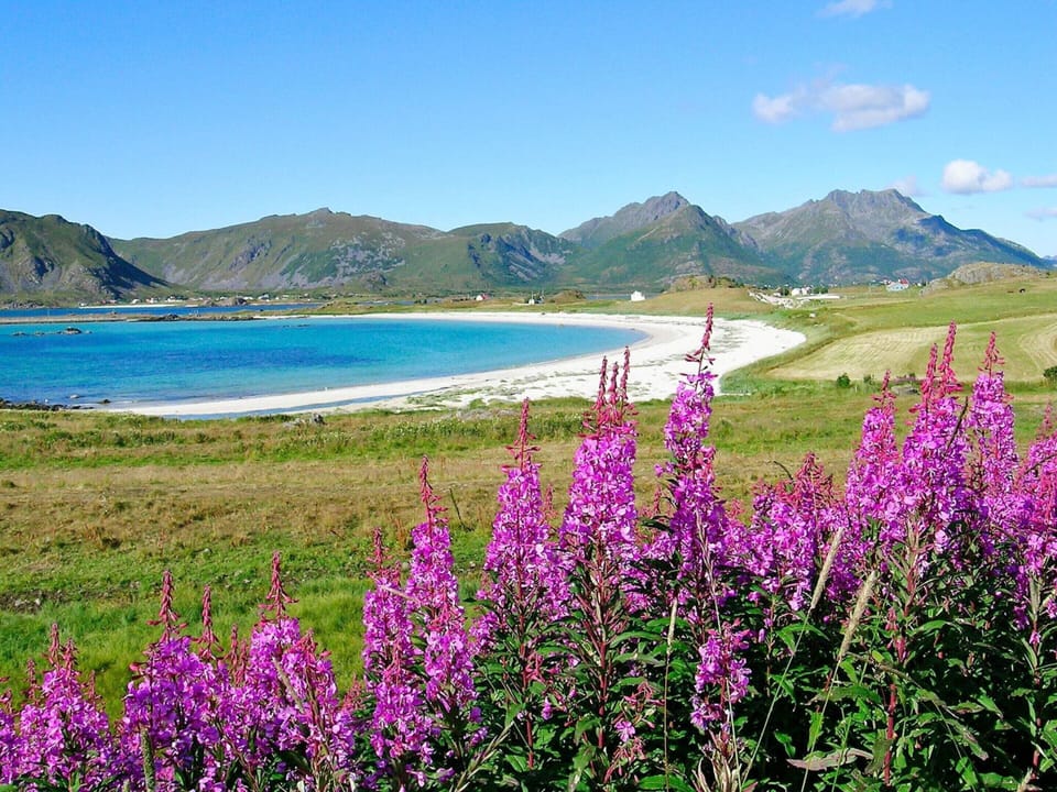 House | 3 bedrooms, individually furnished