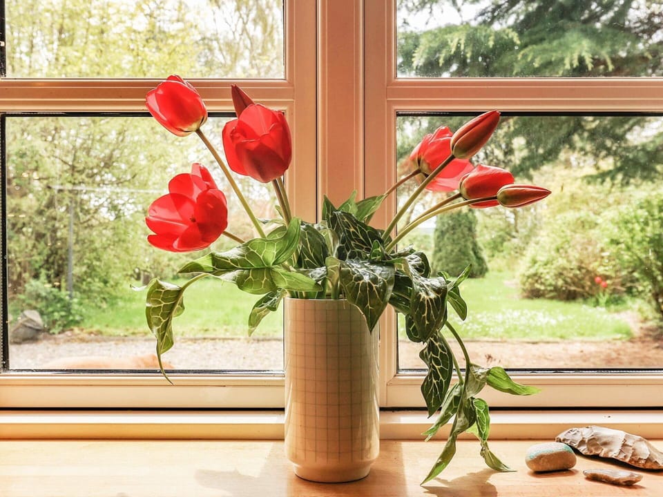 House | Interior