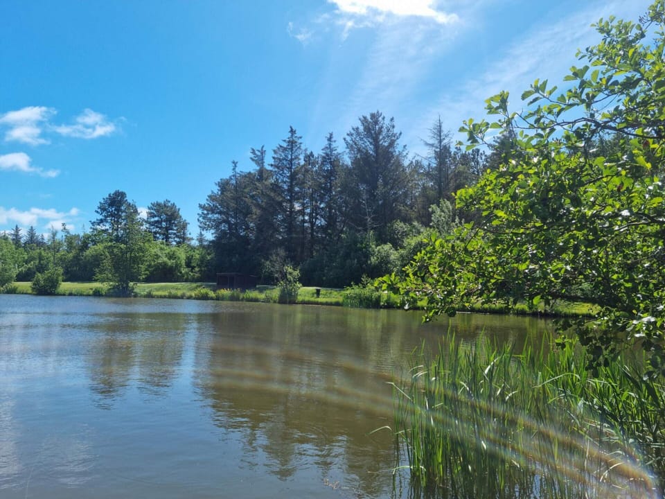 House | Water view