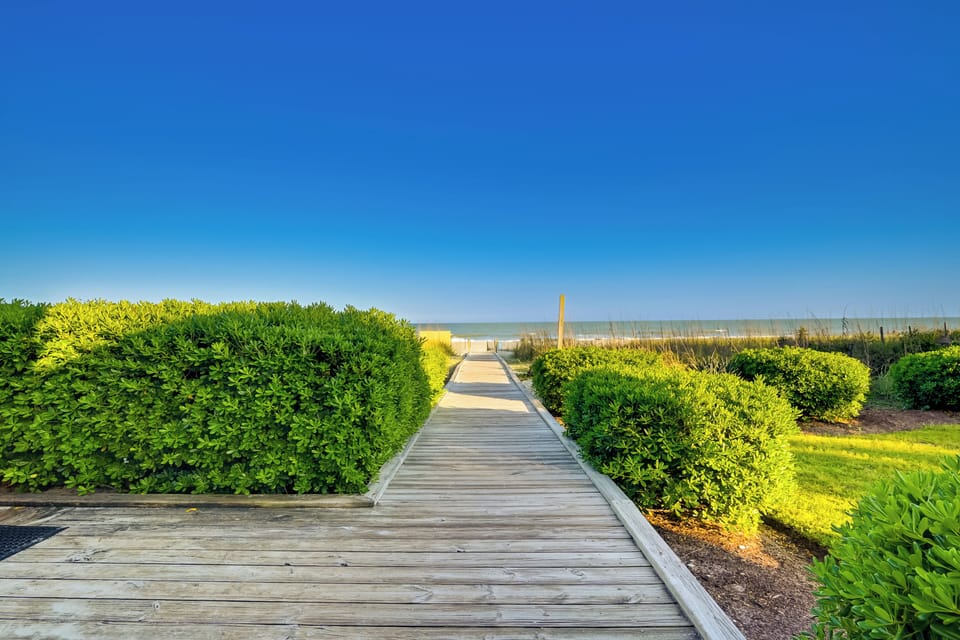 Ocean-view Balcony: Peaceful Forest Dunes Condo! Apartment in Myrtle Beach