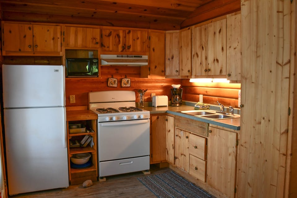 Family Cabin, 3 Bedrooms, 2 Bathrooms, Lake View (3 Bedroom Cabin Not Pet Friendly | Private kitchenette | Fridge, stovetop, toaster, cookware/dishes/utensils