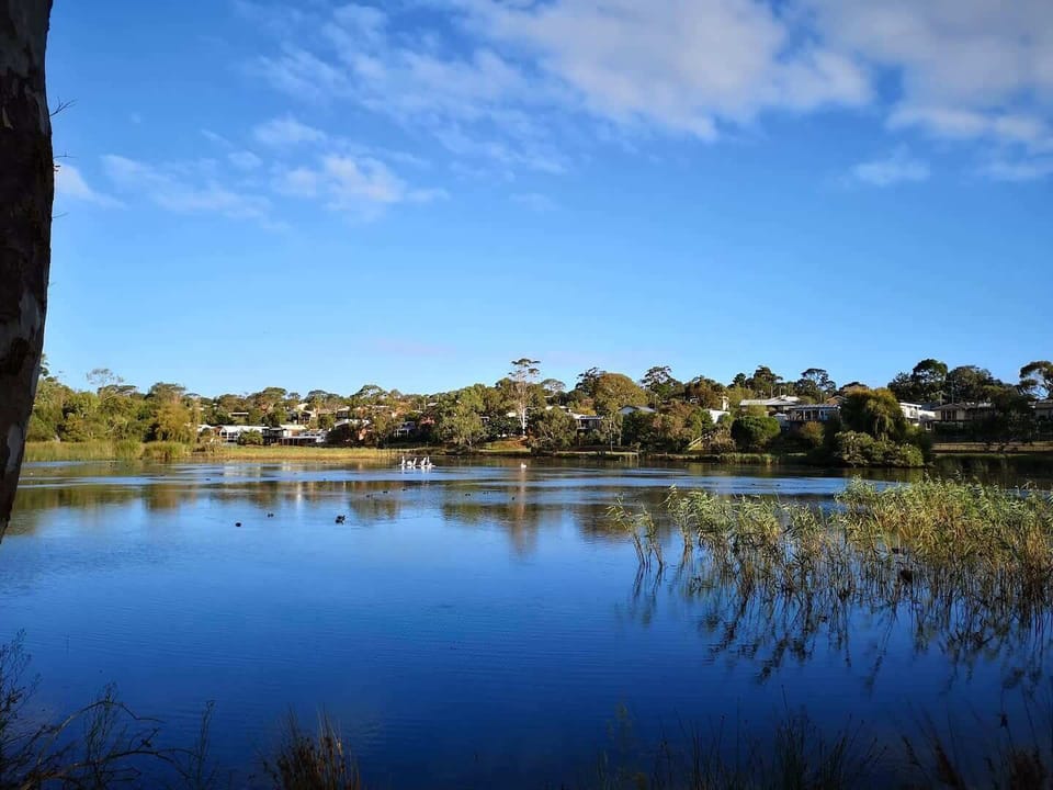 A gentle stroll leads you to Ocean Grove’s serene Blue Waters Lake reserve