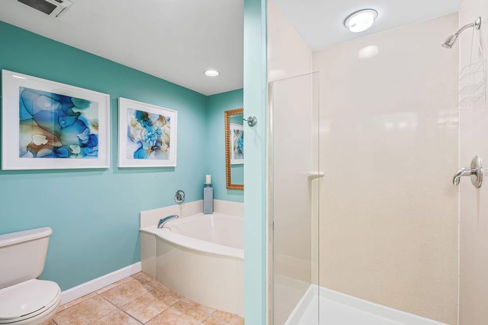 Master bathroom