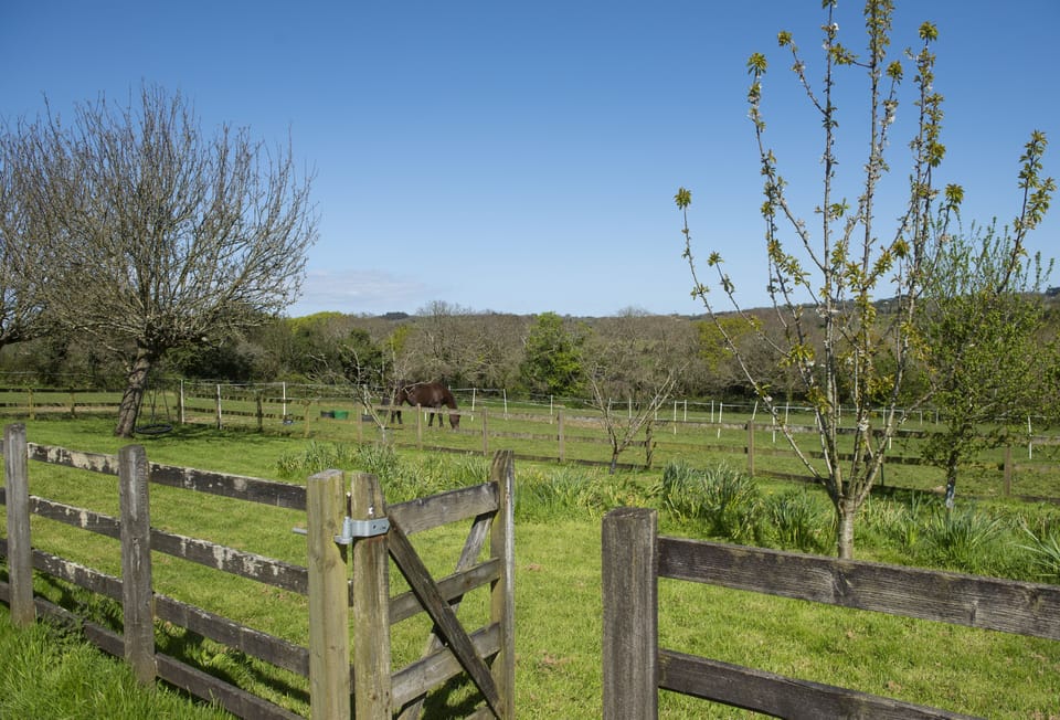 Roseland Cottage, Outside: With plenty of walks right on your doorstep
