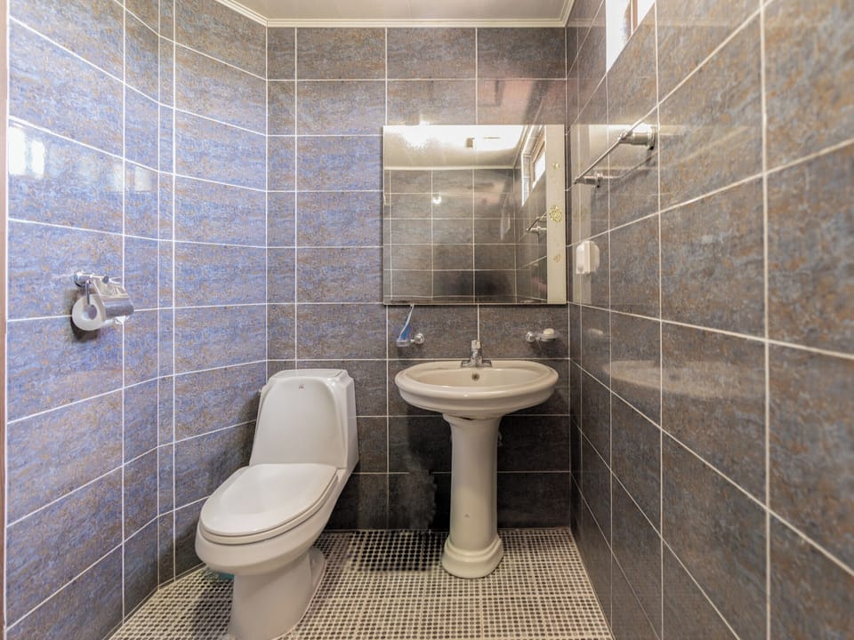 Standard Double Room | Bathroom | Shower, free toiletries, hair dryer, towels