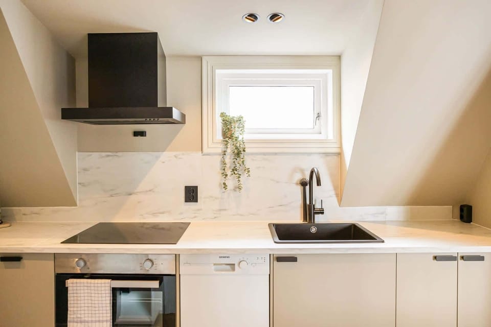 Sleek white kitchen with integrated appliances, natural light and garden views