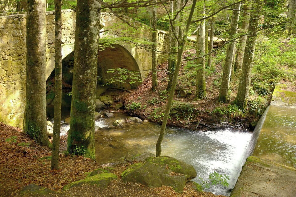 Activities, Autumn, Outdoor, Spring, Summer