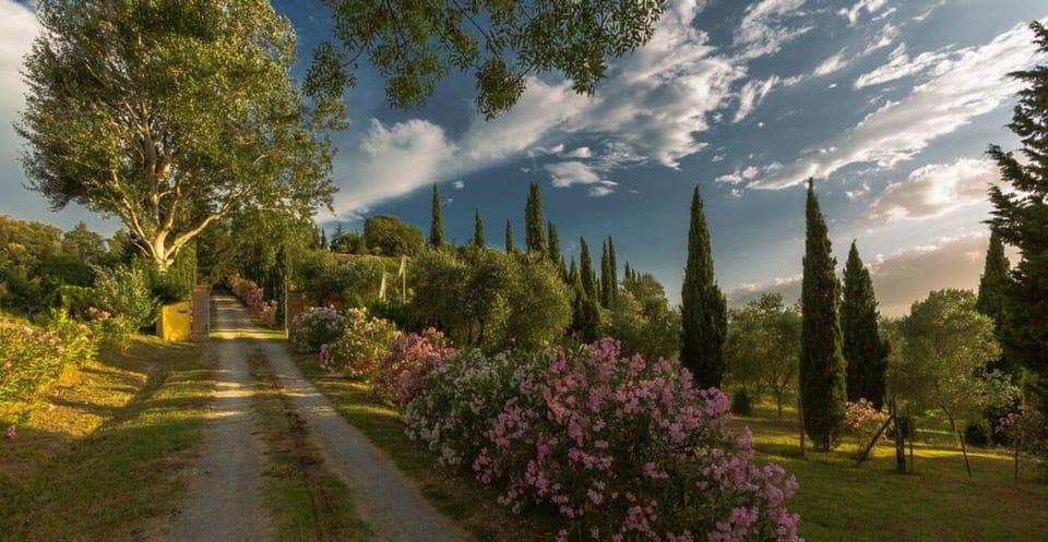 Building Exterior, Garden, Outdoor, Scenic View