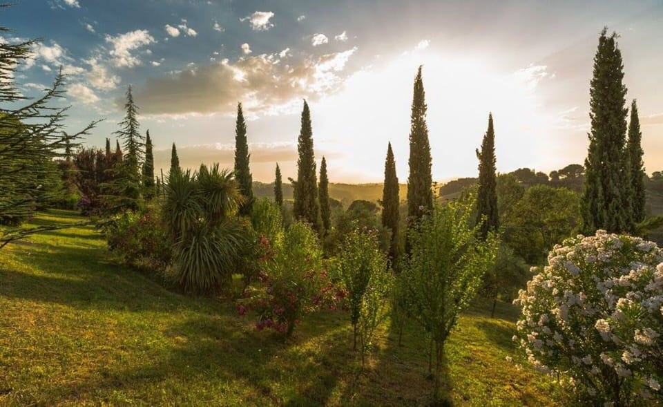 Building Exterior, Garden, Outdoor, Scenic View