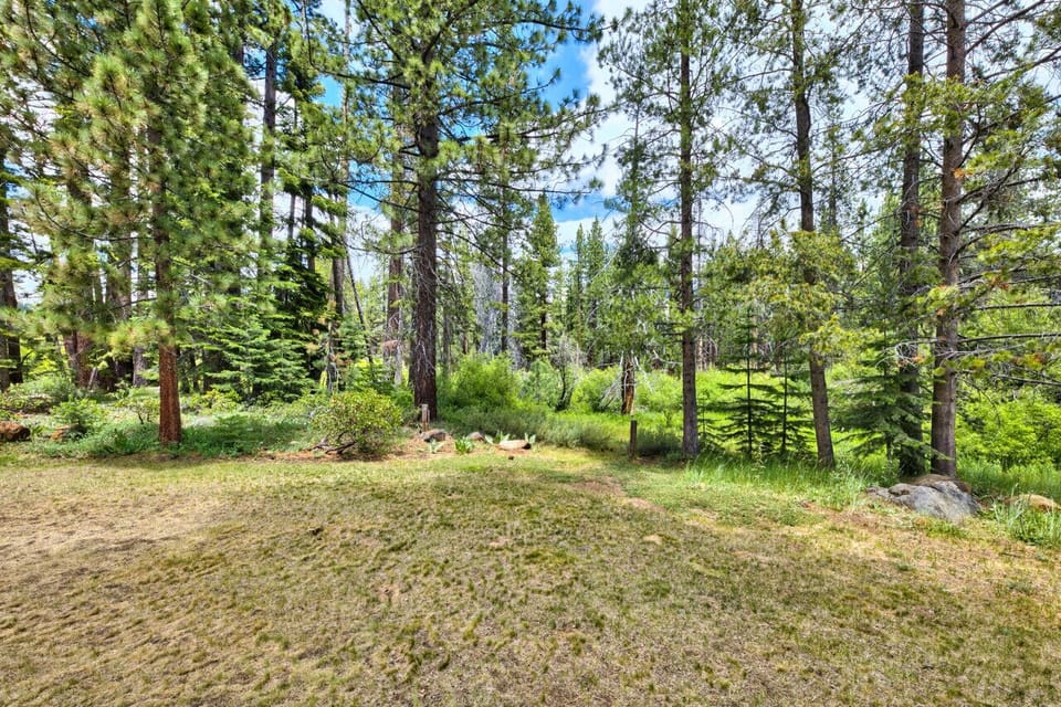 View from Rear Deck