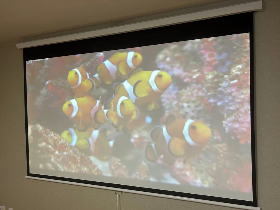 Ultra-short throw projector (Aladdin X2 Plus): A 3-in-1 projector with integrated lighting that lets you enjoy a wide range of content on a powerful large screen