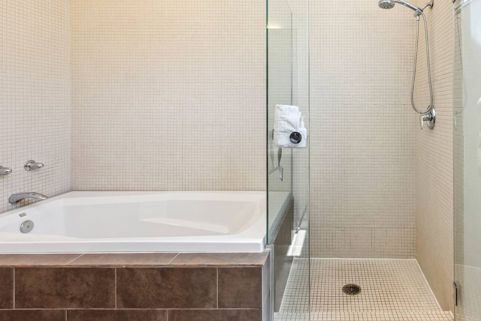 Master Bathroom Shower and Tub
