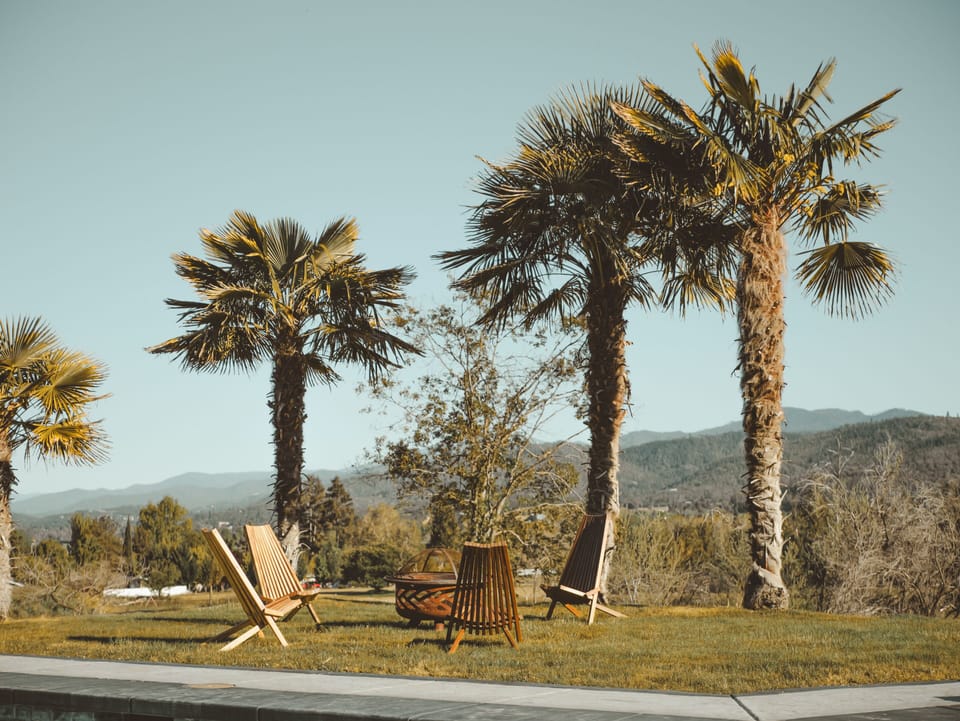 Relax under the shade of swaying palm trees with scenic mountain views.
