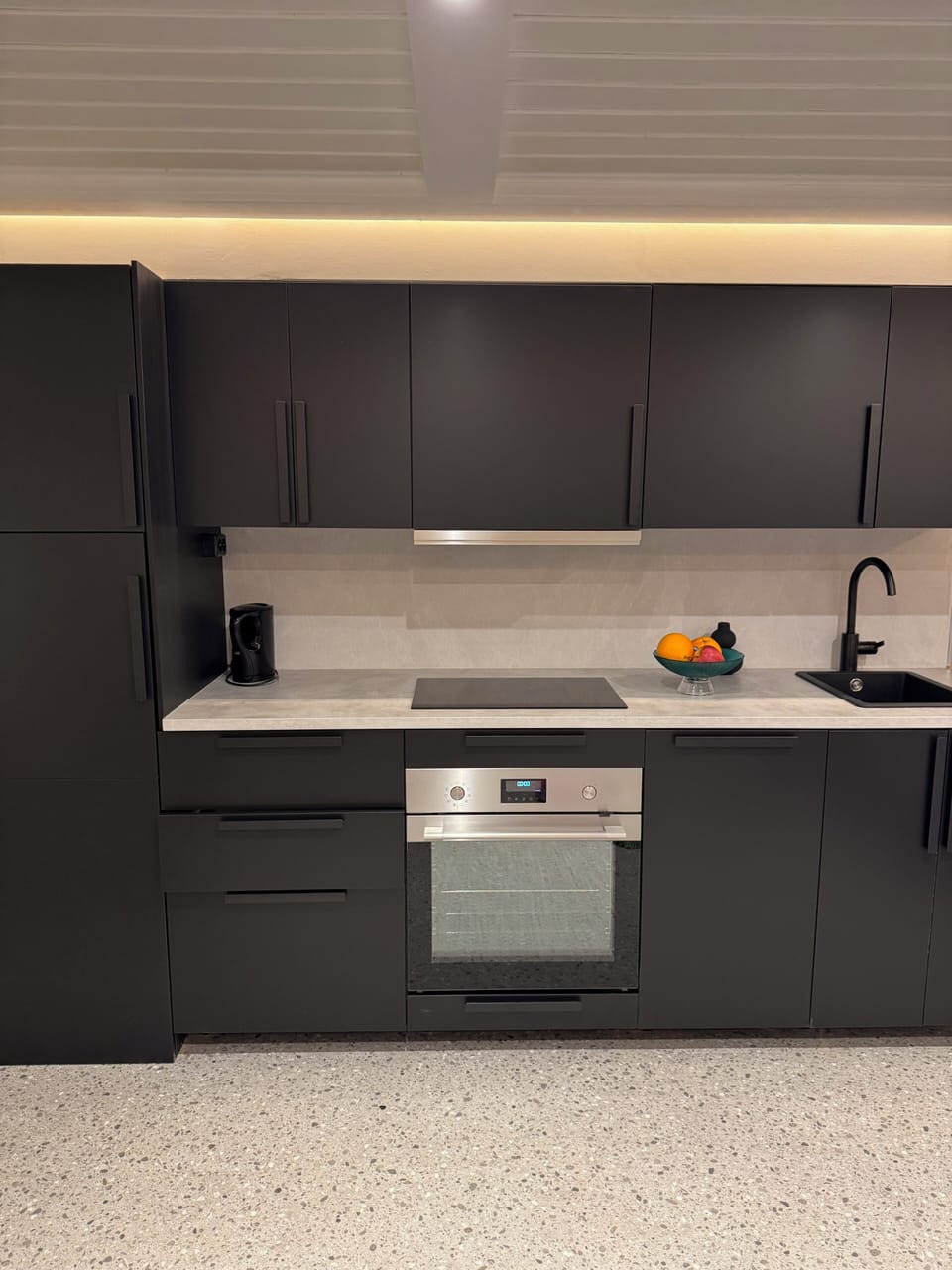 Family Apartment | Private kitchen | Full-size fridge, microwave, oven, stovetop