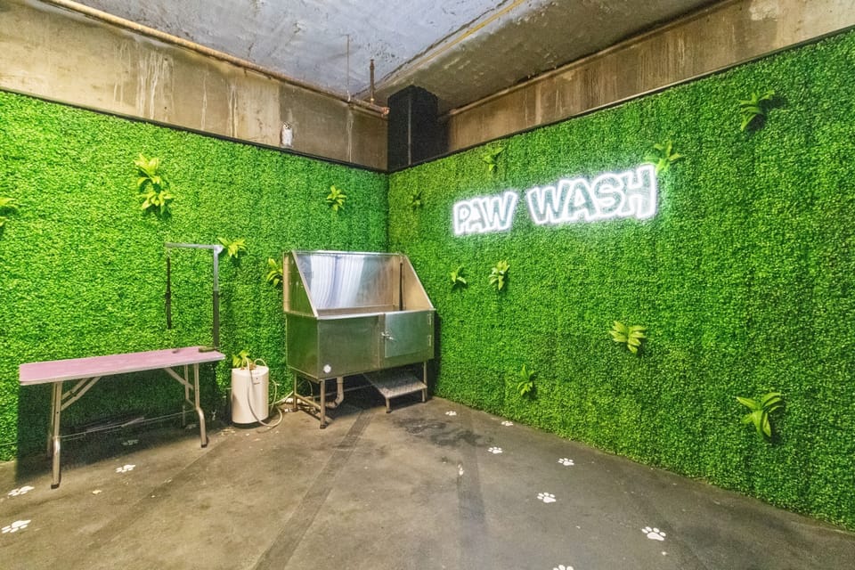 Pet-friendly amenities