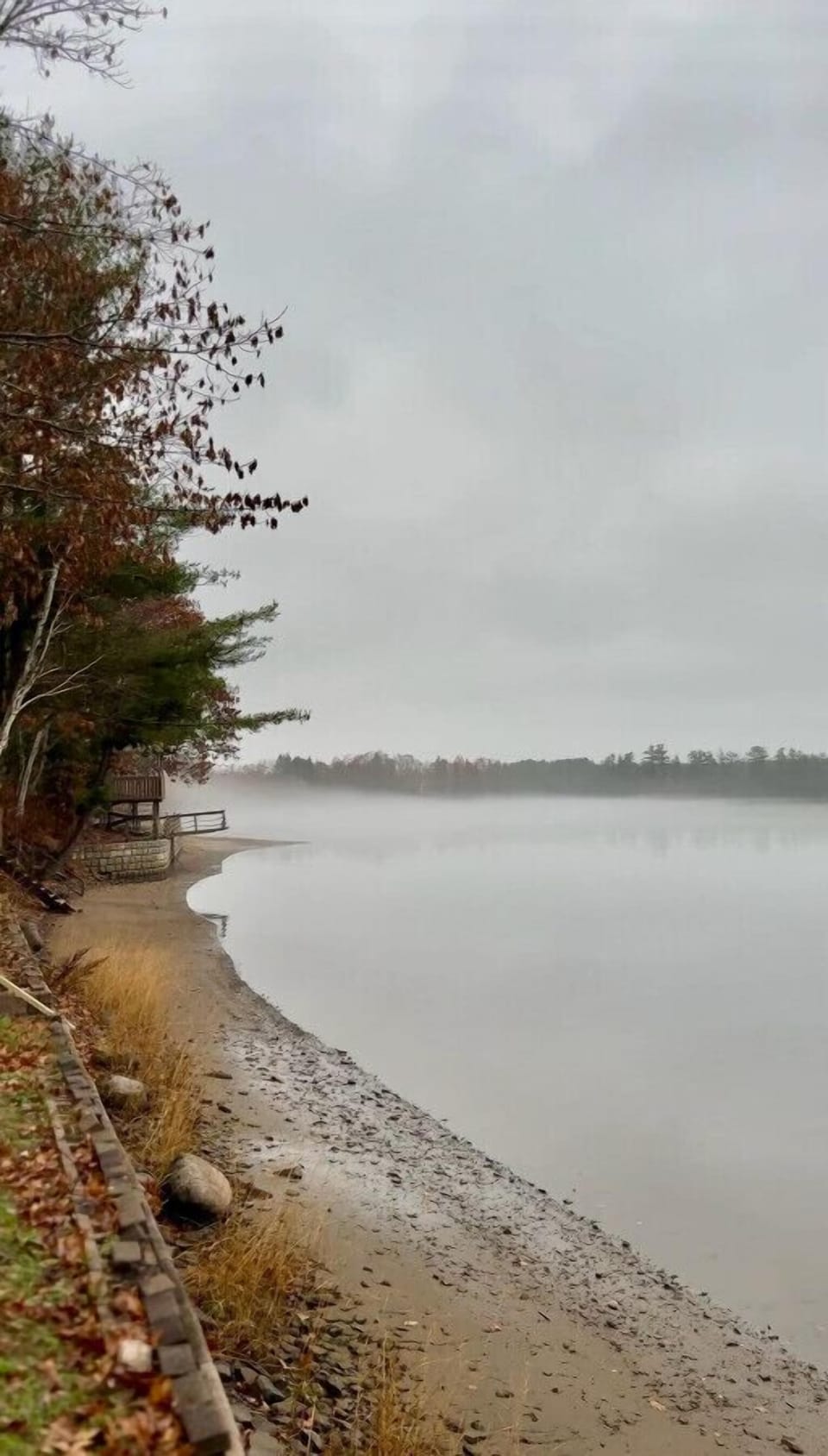 Foggy mornings