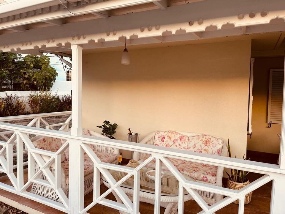 Back Sun Porch