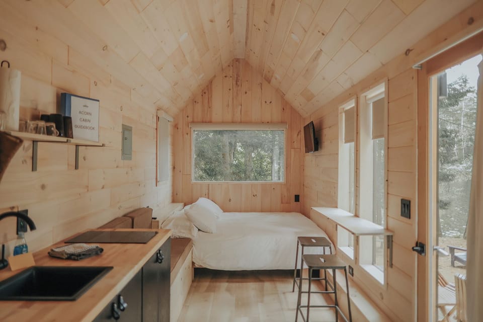 Tiny Cabin clad in Wood in the Adirondacks