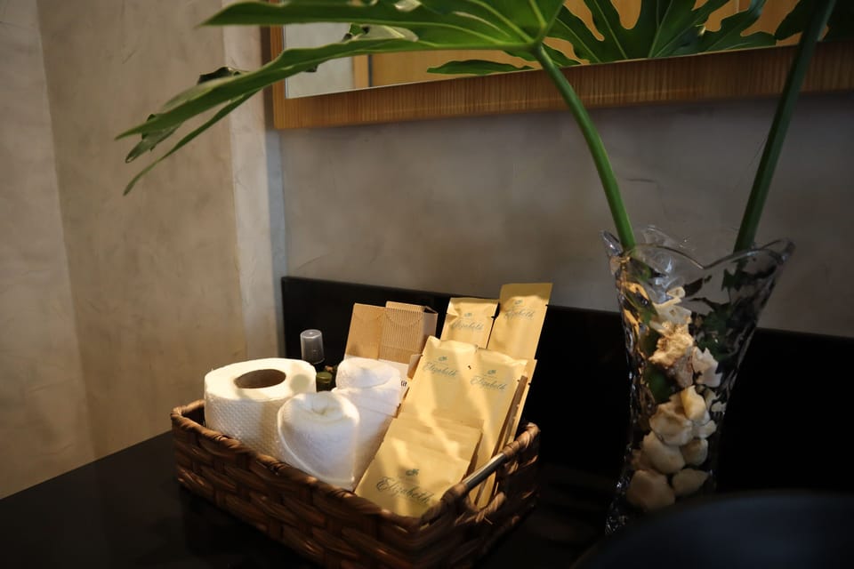 Minibar, desk, soundproofing, WiFi (free)