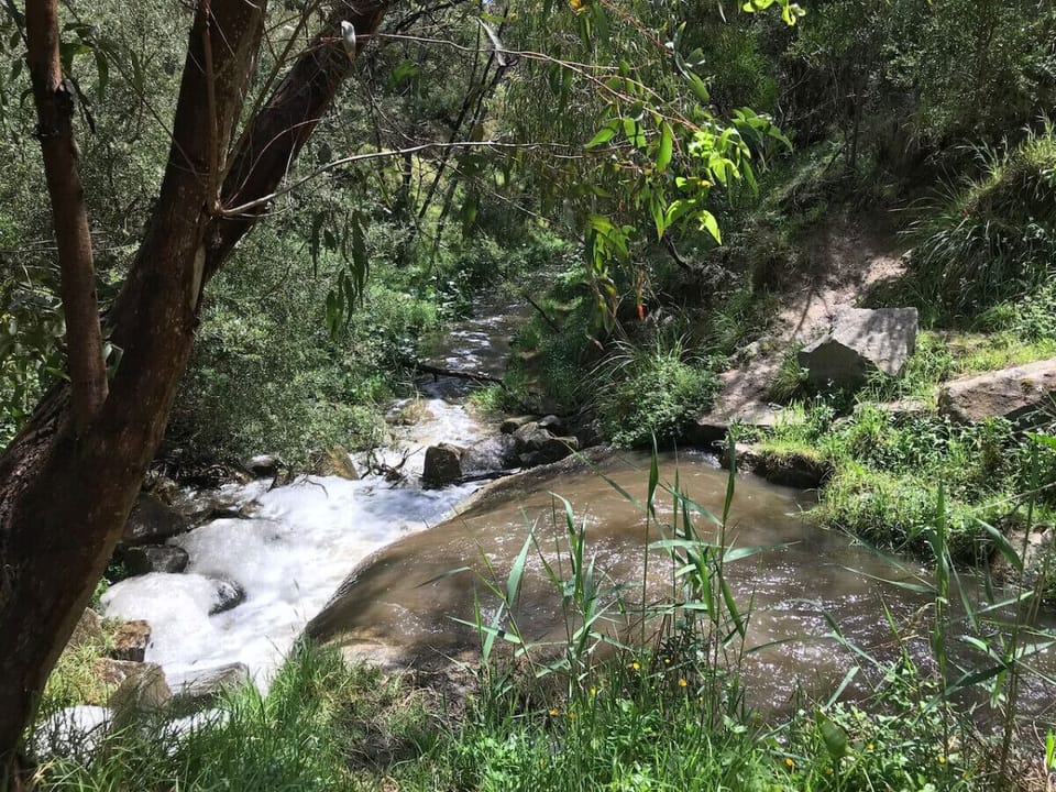 Nearby - Sweet Water Creek