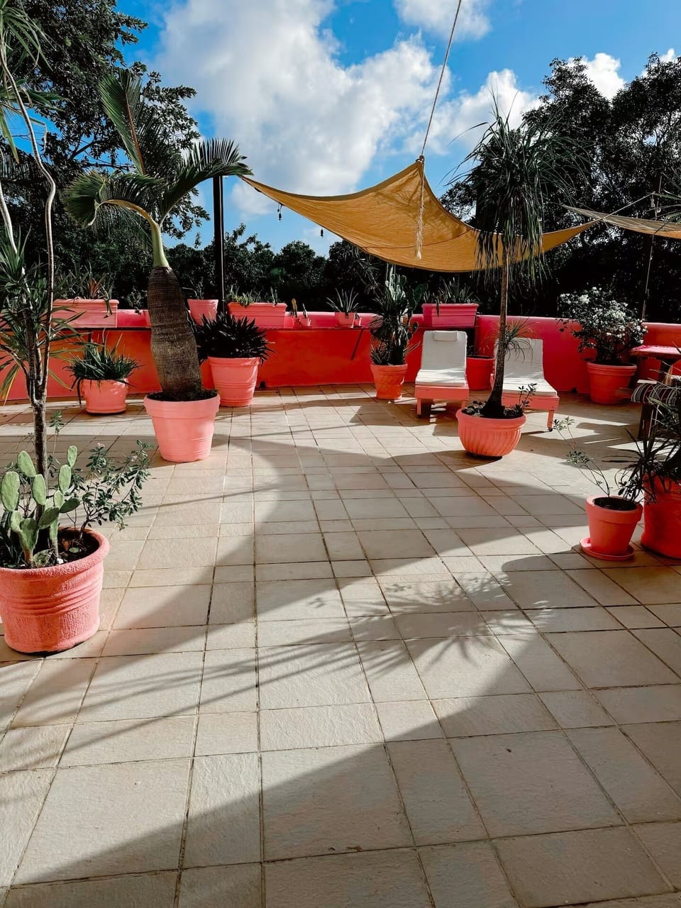 Terrace/patio