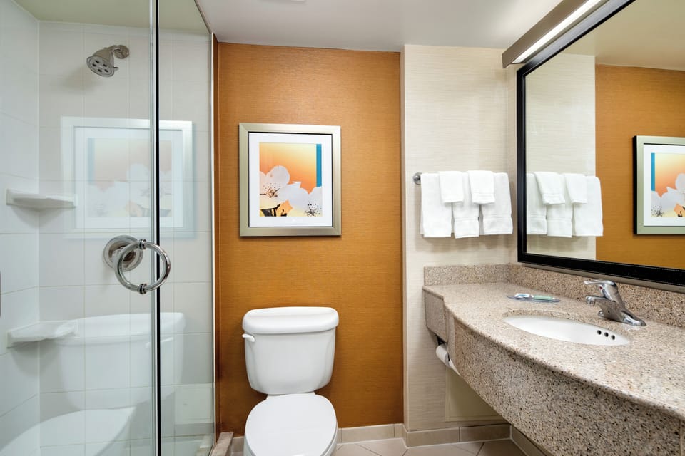 Room, 1 King Bed (Spa) | Bathroom | Free toiletries, hair dryer, towels