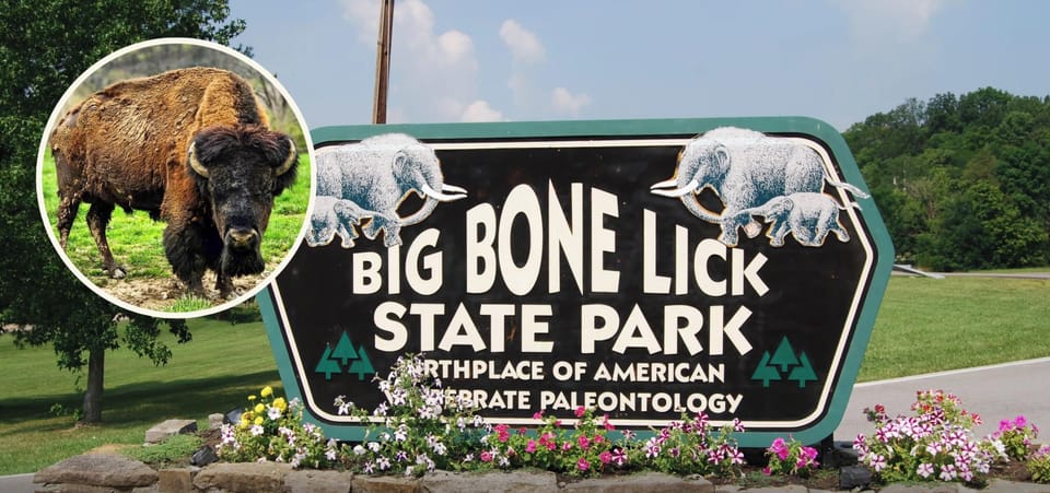 Big Bone Lick State Park