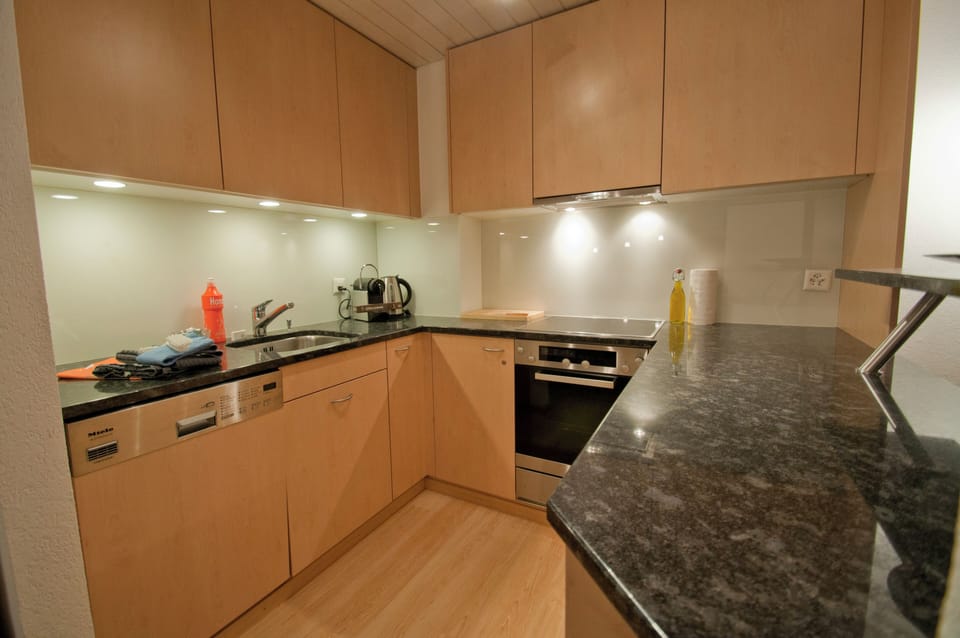 Classic Apartment | Private kitchen | Fridge, oven, stovetop, dishwasher