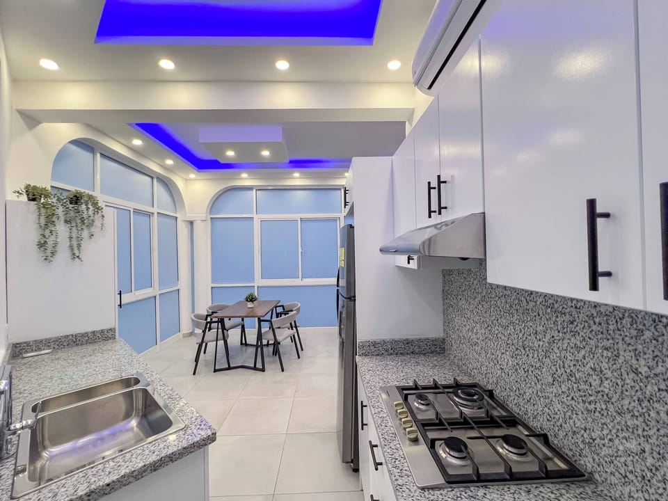 Apartment, 1 Bedroom, Terrace, City View | Private kitchen