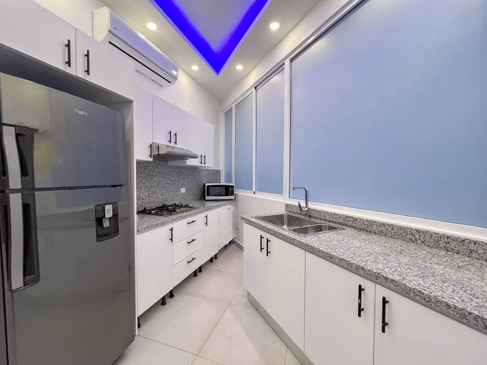 Apartment, 1 Bedroom, Terrace, City View | Private kitchen