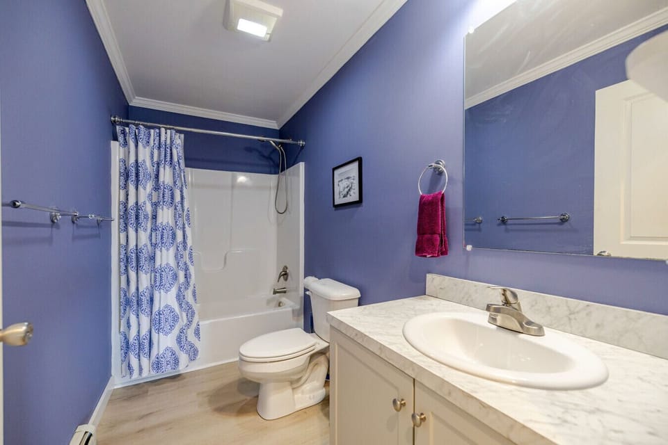 Main floor bathroom 2